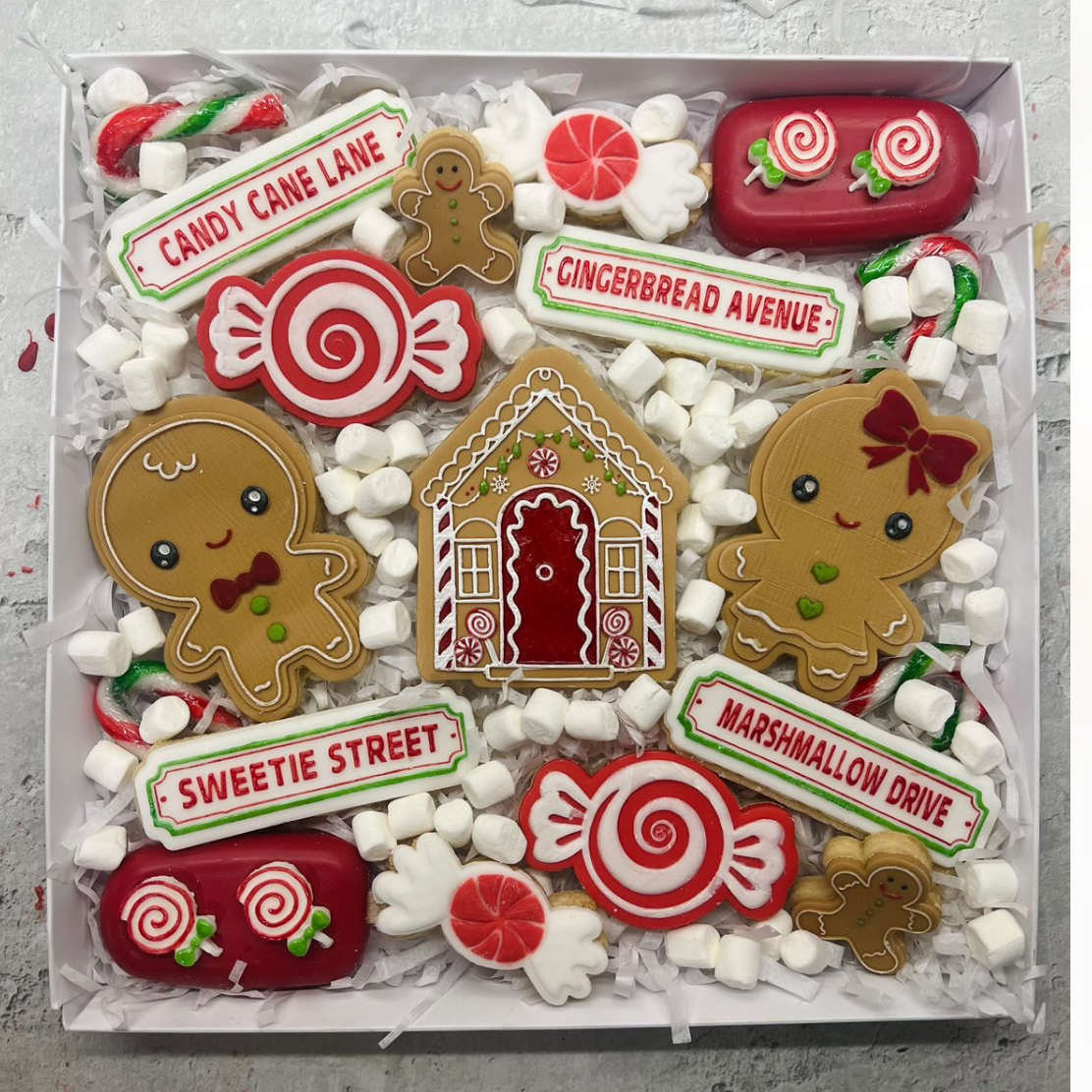 Christmas Candy Land Street Signs Embossing Slab.